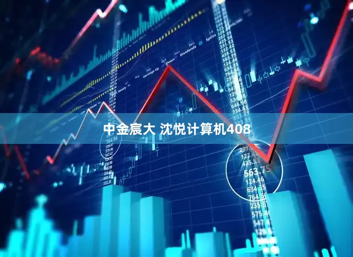 中金宸大 沈悦计算机408